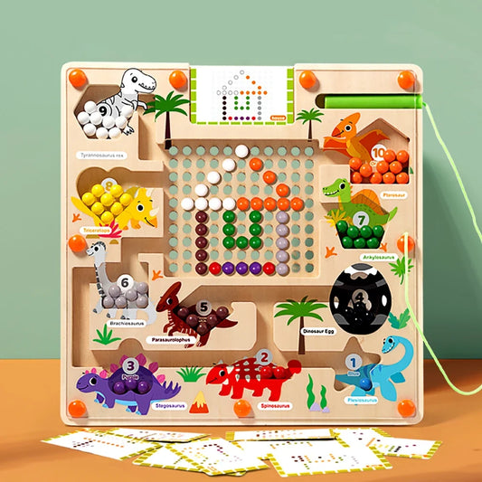 Counting Magnetic Maze