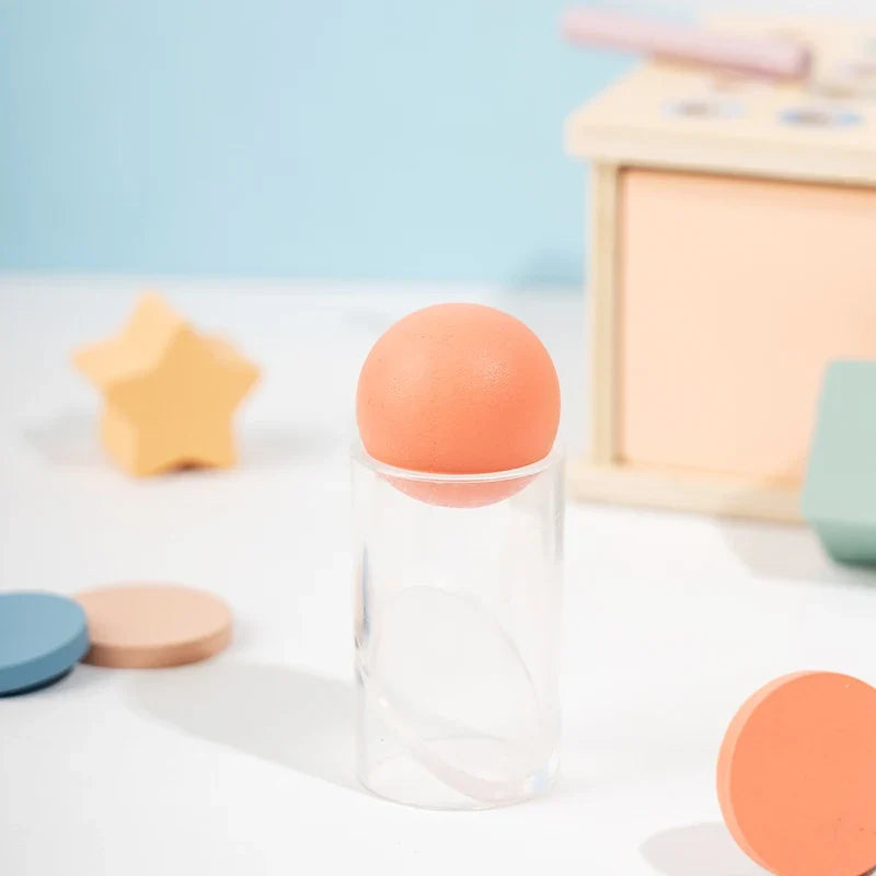 Montessori Sorting Box