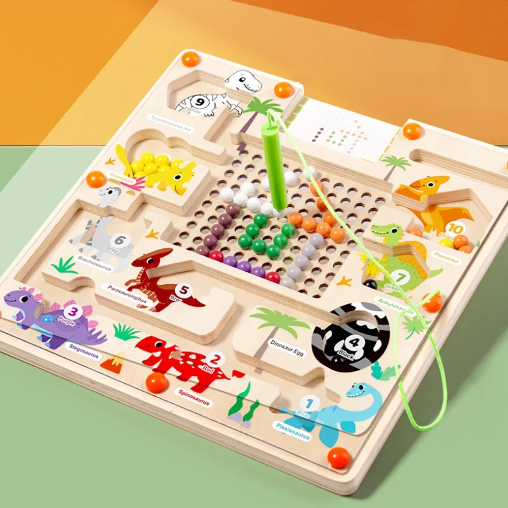 Counting Magnetic Maze