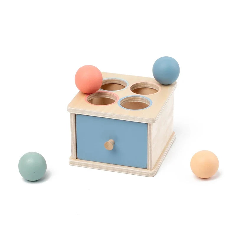 Montessori Sorting Box