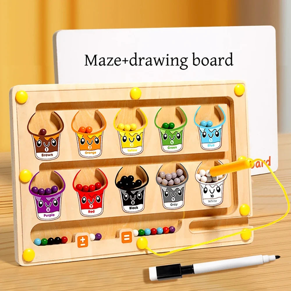 Counting Magnetic Maze