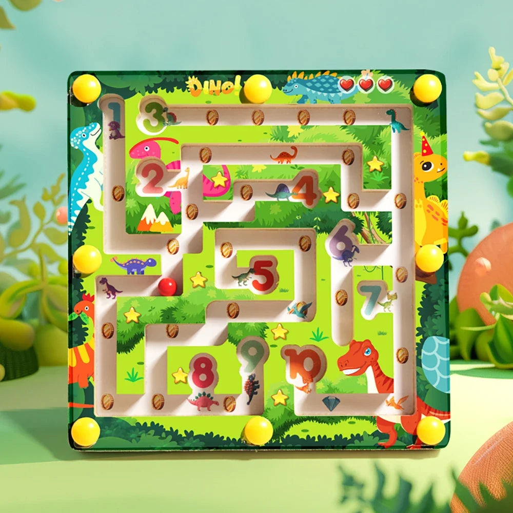 Counting Magnetic Maze