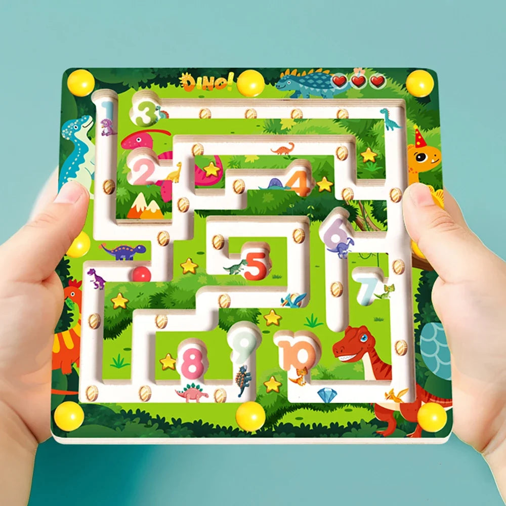 Counting Magnetic Maze
