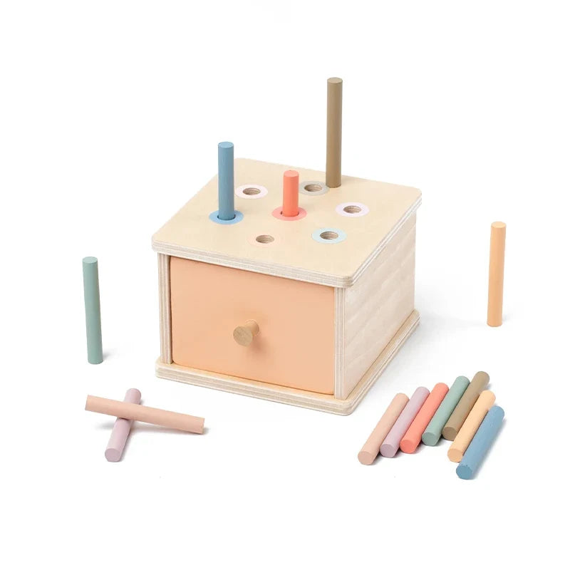 Montessori Sorting Box