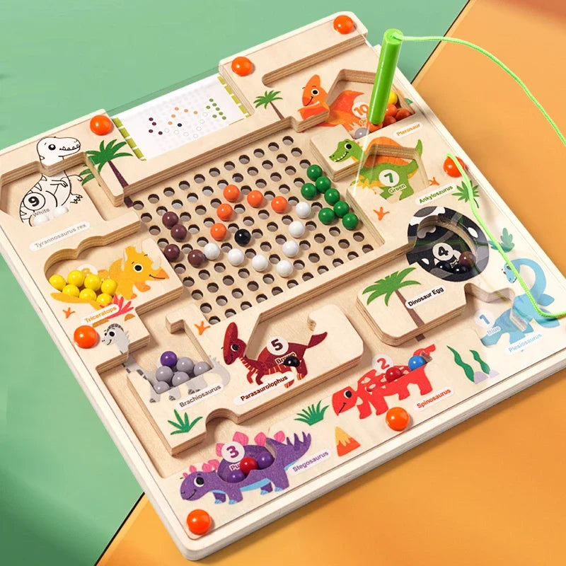 Counting Magnetic Maze
