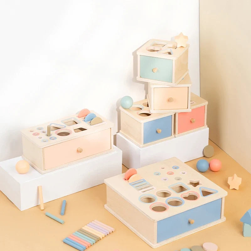 Montessori Sorting Box