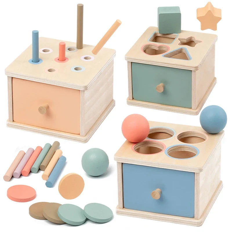 Montessori Sorting Box