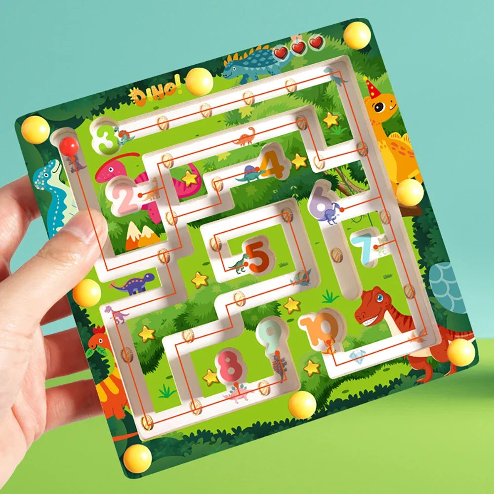Counting Magnetic Maze